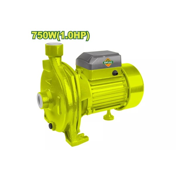 Ջրի պոմպ DYLLU DTWPCA03 750Վտ