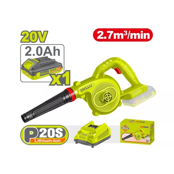 Օդամղիչ մարտկոցային 20Վ 2.7մ³/ր (մարտկոց, լիցքավորիչ) DYLLU DTBLP522