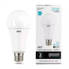 Gauss լամպ E27 Elementary A67 25W 4100K 2100Lm 1/10/50