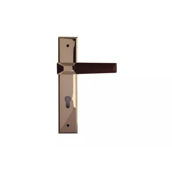 Բռնակ դռան KERRY 9126-F1 PVD/WOOD