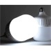 Լուսադիոդային լամպ AVG LED T100-30W-E27-4K