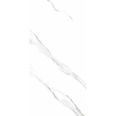 60341 Կերամոգրանիտ Angelo White Silky Matt (60x120)