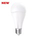Էլ.լամպ LED 13W daylight մարտկոցով (A80 E27 Supernova Wellmax