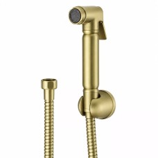 2111-S SET Ներկառուցվող հիգենիկ ցնցուխ (MATT GOLD) GANZER (20/1հատ)