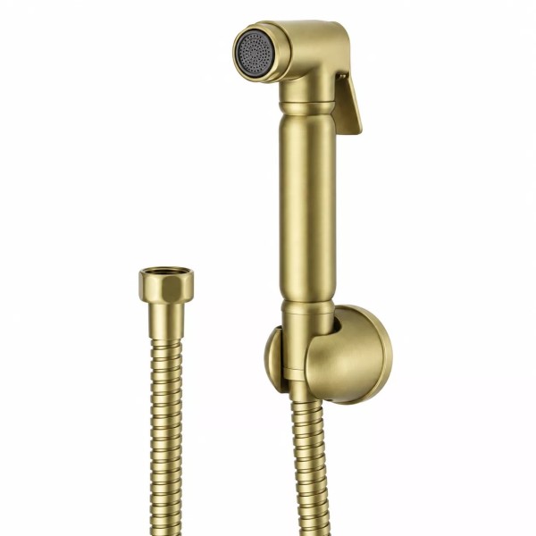 2111-S SET Ներկառուցվող հիգենիկ ցնցուխ (MATT GOLD) GANZER (20/1հատ)