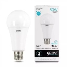 Gauss լամպ E27 Elementary A67 30W 4100K 2360Lm 1/10/50