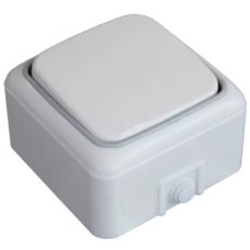 Անջատիչ  1 տեղ փղոսկր G808 TITAN