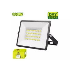LED-լուսարձակ 100Վտ 6500K DYLLU DTWX151001