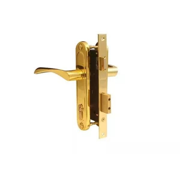 Փականի հավաքածու մուտքի դռան Apecs 1223/60-G 00015577 Փականի հավաքածու մուտքի դռան Apecs 1223/60-G 00015577