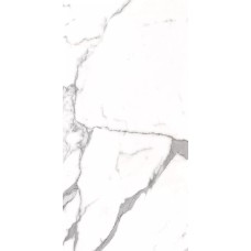 Կերամոգրանիտ PG Prozzo 1124  60x120 Rect.