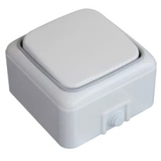 Անջատիչ ռեվերս 1 տեղ փղոսկր G808 TITAN