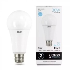 Gauss լամպ E27 Elementary A67 30W 6500K 2390Lm 1/10/50